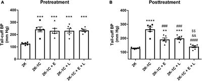 Antiproteinuric and Hyperkalemic Mechanisms Activated by Dual Versus Single Blockade of the RAS in Renovascular Hypertensive Rats